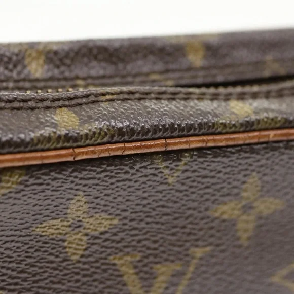 Louis Vuitton Marly Dragonne Clutch - Picture 5 of 17